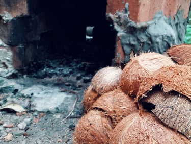 Raw coconut shell before production