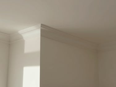 Close environmental shot of a finished room corner showing painted crown moulding meeting wainscoting, empty room, north-facing daylight, the reveal shadow crisp and clean