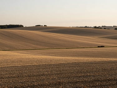 Modern agricultural landscape in Nouvelle-Aquitaine, structured fields at golden hour, elegant muted tones, 35mm