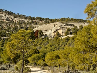 cueva meridional abrigo monte arabi yecla murcia