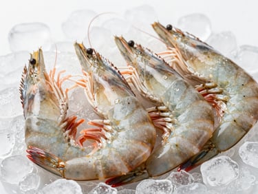 Macro shot of raw head-on vannamei shrimp on clean ice, bright high-key lighting, sterile studio background