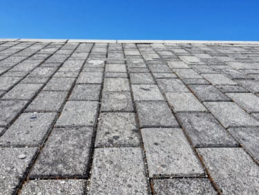 Close-up of water beading on freshly sealed pavers, vivid color, bright Florida sunlight, crisp shadows, vivid blue sky, crisp commercial outdoor photography, sharp focus, high-contrast, 35mm