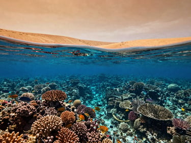 Deep underwater blue light rays filtering down to pristine coral gardens in Ras Mohammed, vibrant marine life, wide-angle cinematic lens.