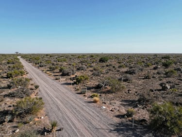 Aerial ground-level approach shot of a flat northern Mexico parcel, midday natural light, perimeter marked with survey stakes, gravel access road visible entering from the east, dry scrub vegetation, no structures, clear sky
