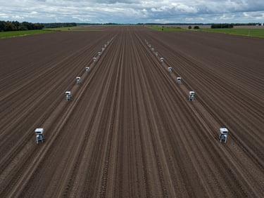 Symmetrical aerial view of structured agricultural fields with automated soil sensors, cool overcast daylight.