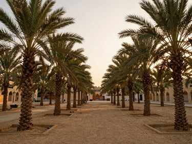Wide-angle environmental shot of a date palm grove in Madinah during golden hour, soft warm light filtering through the fronds, 35mm