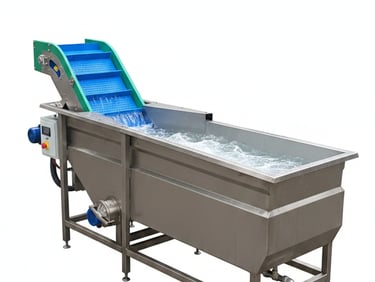 Stainless steel industrial vegetable washer with an integrated blue modular belt conveyor.