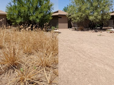 Before and after split screen showing an overgrown Albuquerque yard filled with dry weeds transformed into a clean, empty dirt lot