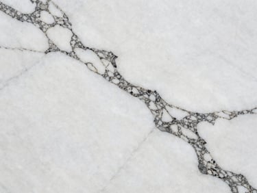 Close-up of raw white marble slab with dramatic charcoal veining, elegant matte finish, natural light.