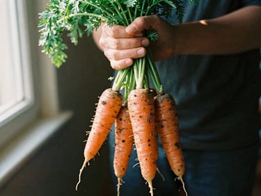 Dirt-caked hands holding freshly harvested heirloom carrots, natural afternoon sun, rich earthy tones, 35mm film