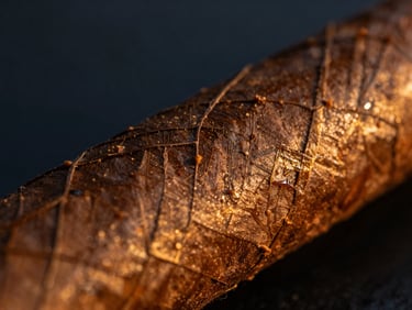 Macro extreme close-up of a dark textured oily maduro cigar wrapper with golden veins, dramatic chiaroscuro lighting
