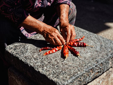 Hands of an elder woman grinding dried chiles on a basalt metate, harsh midday shadows, warm rich tones