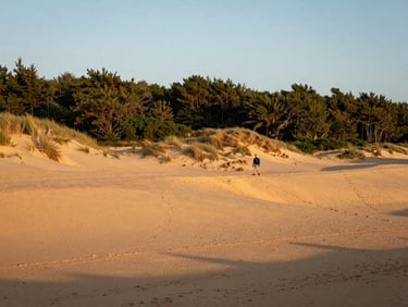Wide-angle shot of wind-swept coastal dunes at golden hour, a single traveler walking along the ridge, warm ochre sand.