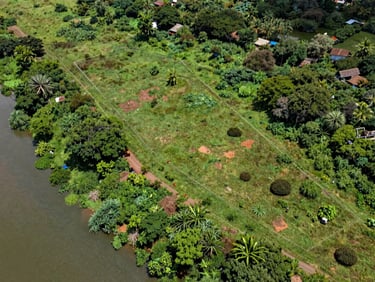 Overhead shot of a riverside land parcel in Ogun State — green vegetation, clear boundary markers, natural daylight, aerial survey framing, no people