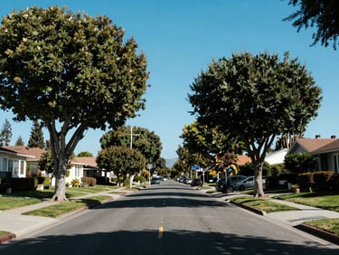 A beautiful view of a tree-lined Watsonville residential street under clear, bright blue California skies.
