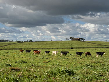 Vista panorâmica de uma fazenda de gado produtiva com pastagem verde ampla e cercas de divisa bem estruturadas.
