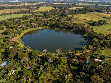 High-altitude drone shot of a fertile green property in Castanhal, Pará, featuring a small natural lake, clear lot boundaries, and vibrant vegetation under warm natural daylight.