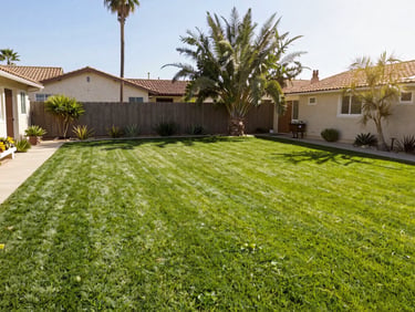 Wide shot of a pristine, green residential backyard in Southern California with turf grass, desert plants in the background, bright warm sunlight