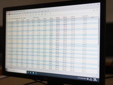 Tight crop of a monitor displaying a balance sheet summary with asset and liability columns in a dense data table, even ambient lighting, numbers and labels legible, no decorative elements