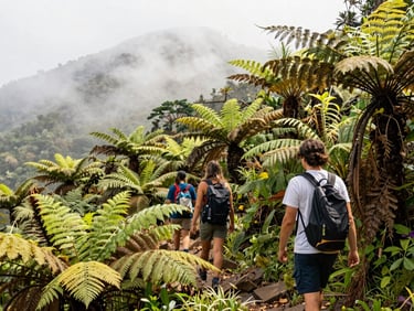 Travelers hiking through a lush fern forest in Puerto Rico, soft morning mountain mist, natural daylight, 35mm lens