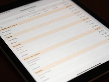 Macro shot of a clean iPad screen displaying a financial spreadsheet with deep shadows and metallic champagne gold highlights.