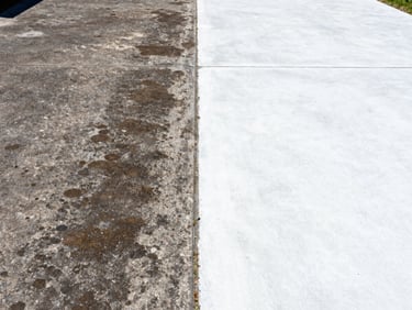 High-contrast split image showing a concrete driveway half covered in dark mold and half restored to sparkling white concrete, bright sunlight