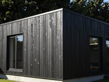 A modern New Zealand architectural home with a dark painted timber exterior, high-contrast clean lines, bright natural daylight.