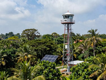 A meteorological station tower standing in a cleared forest patch, solar panels visible, lush tropical canopy under bright sky.