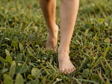 A person walking barefoot on a grassy path surrounded by soft green foliage, warm golden hour light, focus on feet and natural textures