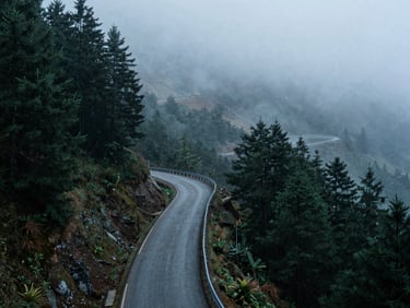 Winding asphalt mountain road disappearing into dense pine forest and heavy fog, shot from a high angle, moody overcast daylight.