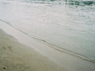 Quiet riverbank with soft silt mud, gentle ripples, overcast morning light, desaturated green and gray tones, 35mm film.