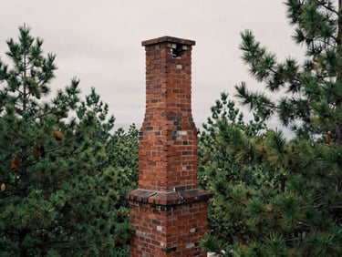Cracked historic red brick chimney standing alone in a pine forest, soft overcast daylight, muted earth tones, documentary photography.