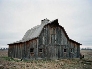 A weathered wooden tobacco barn in an empty field, overcast winter sky, desaturated tones, documentary 35mm film style.