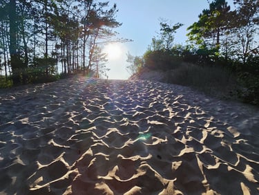 Wejście na plaże w Dąbkach - 300 m od Apartament Przystań 34 Dąbki