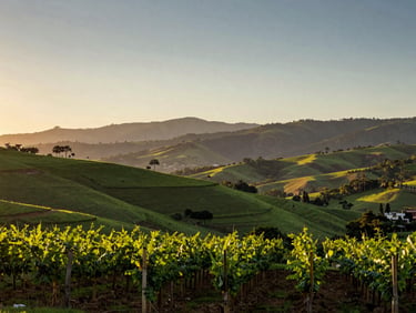 Viñedos verdes en el valle de Tarija con montañas al fondo durante el atardecer