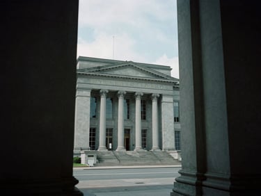 Distant architectural framing of a monumental civic institution, cool overcast daylight, deep shadows, desaturated sage tones, 35mm film.