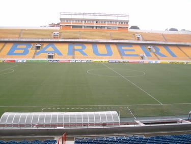 Arena Barueri, Barueri/SP