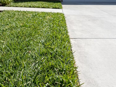 Straight-on low-angle shot of a perfectly manicured grass edge meeting a clean concrete driveway, crisp morning daylight with sharp shadows, 50mm lens