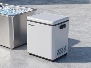 Crisp product photography of the Wellacooler chiller on a minimalist concrete deck next to a clean stainless steel ice bath, cool morning light, sharp focus, 50mm lens