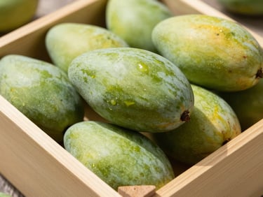 Macro detail shot of ripe Alphonso mangoes in a clean wooden export crate, bright natural sunlight.