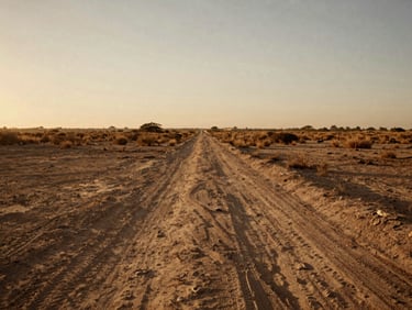 Arid landscape of Nuevo León at golden hour, dusty historic pathway, low horizon, warm soft daylight, 35mm photography