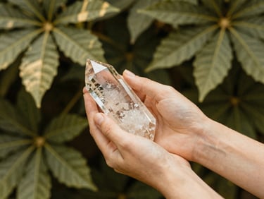 Hands gently holding a clear quartz crystal, soft focus on lush botanical leaves in the background, warm editorial photography, shallow depth of field, 35mm