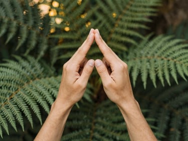 Hands drawing a Reiki symbol in the air, surrounded by lush fern leaves, soft natural daylight filtering through, deep botanical greens and gold tones, shallow depth of field, 35mm.