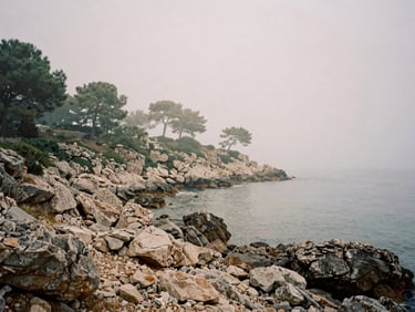 A misty morning view of a rocky, pine-fringed cove on a quiet Mediterranean island, soft overcast light, desaturated earth tones, 35mm film grain.