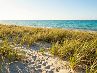 Bright coastal photo of Sand Key Park, grassy dunes meeting turquoise water under bright midday sun, natural environment.