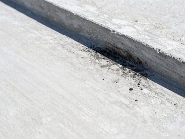 Tight macro shot of high-contrast before-and-after concrete cleaning, showing deep-seated black mold removed to reveal bright clean concrete under crisp daylight