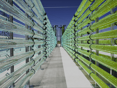 a long row of green benches with a blue sky in the background