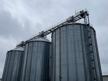 Industrial grain silos towering against a cool overcast sky, sharp architectural lines.