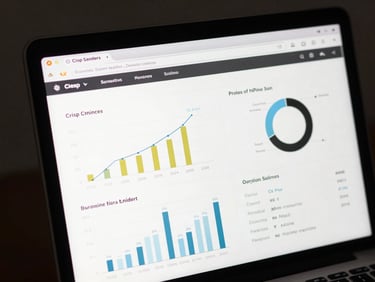 Crisp, un-rendered screenshot of a clean web application interface showing data visualization charts and clean typography on a dark screen.