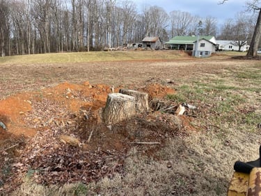 Stump before the grinding started. Now you see it - 